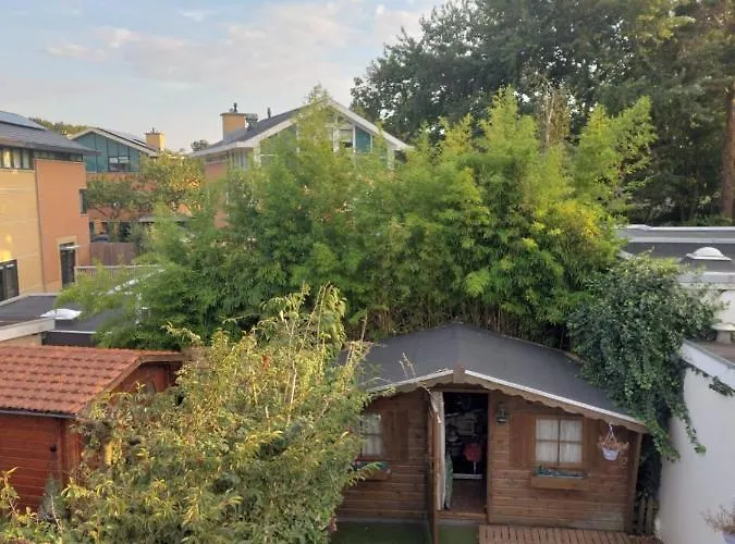 Mooi Uitzicht Te Huur Tijdens De Gp In * Zandvoort